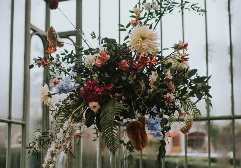 Everything you need to know about drying flowers for your home - New Moon Blooms