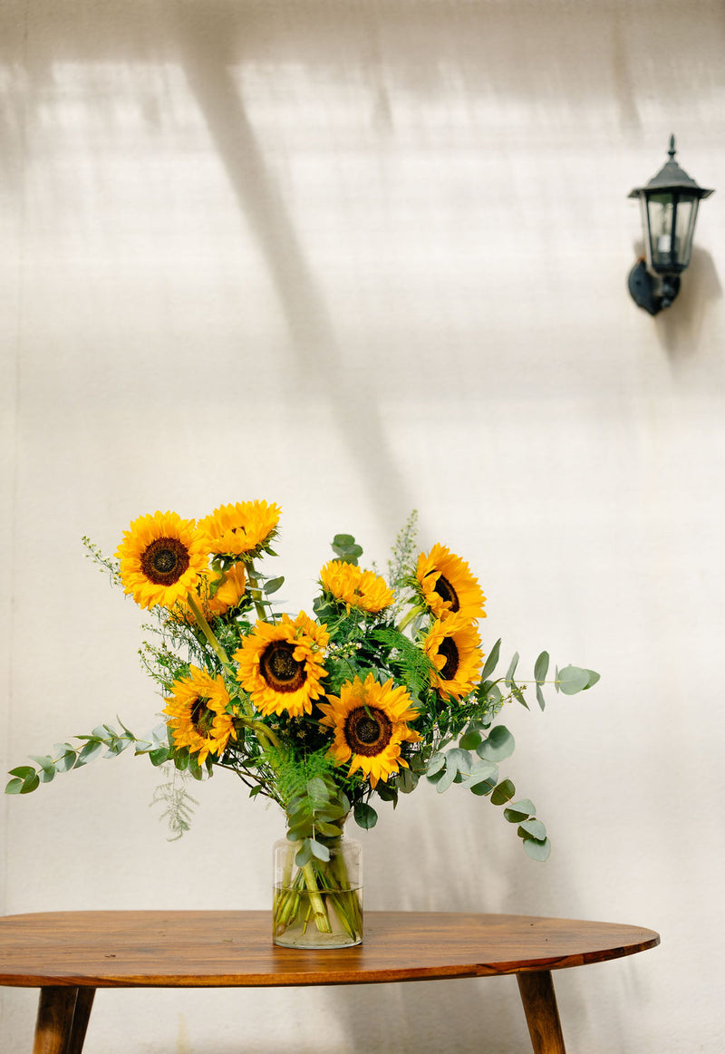 SUNSHINE IN A VASE BLOOMS