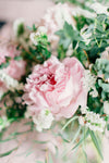 BLUSH PINK PEONIES