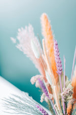 PASTEL SUMMER SUNSETS