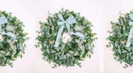 LUXURY EUCALYPTUS CHRISTMAS WREATH - LARGE - New Moon Blooms