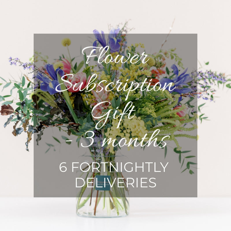 3 Month Flower Subscription Gift - 6 Fortnightly Deliveries